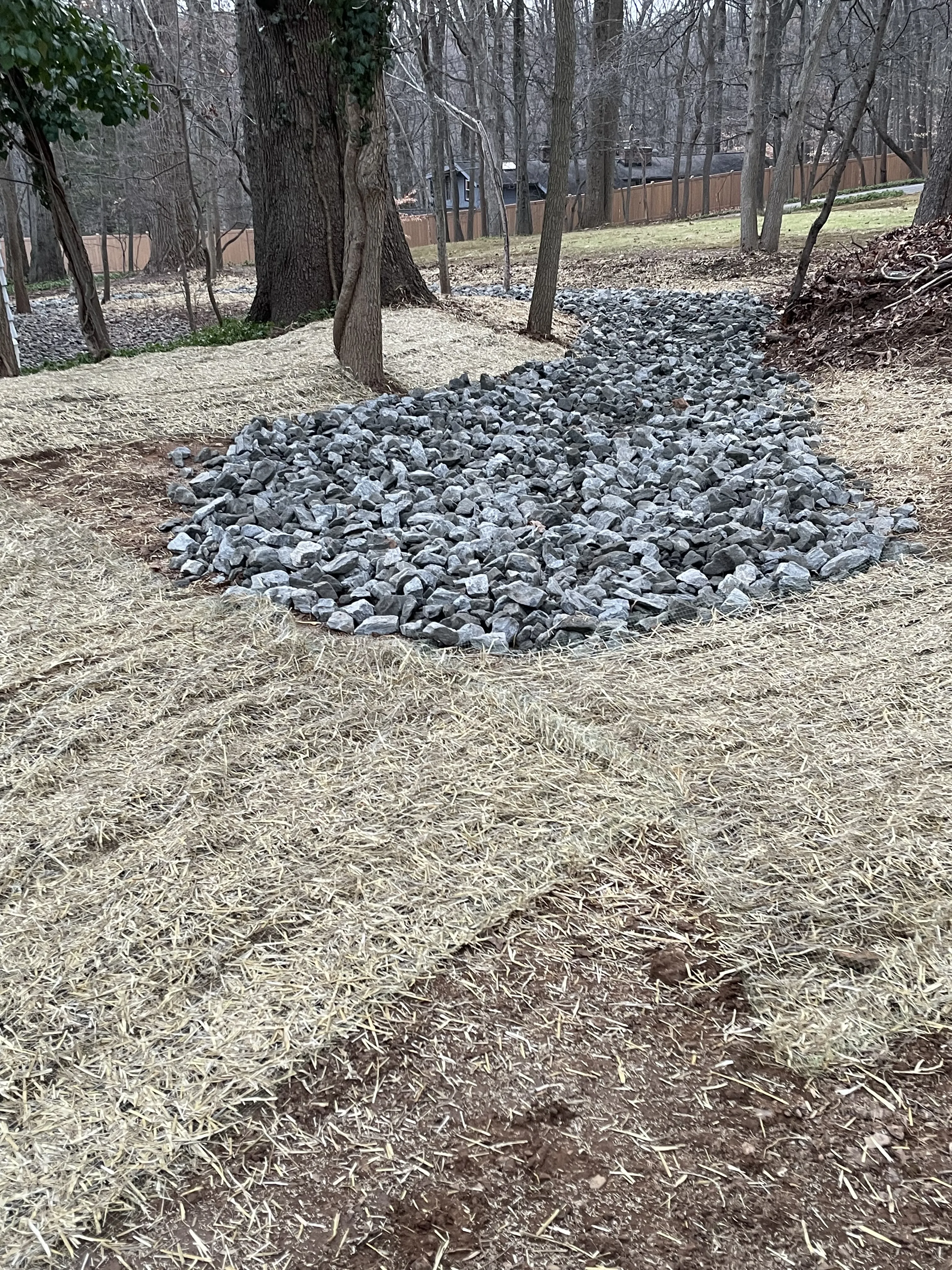 Corner Lot Landscaping