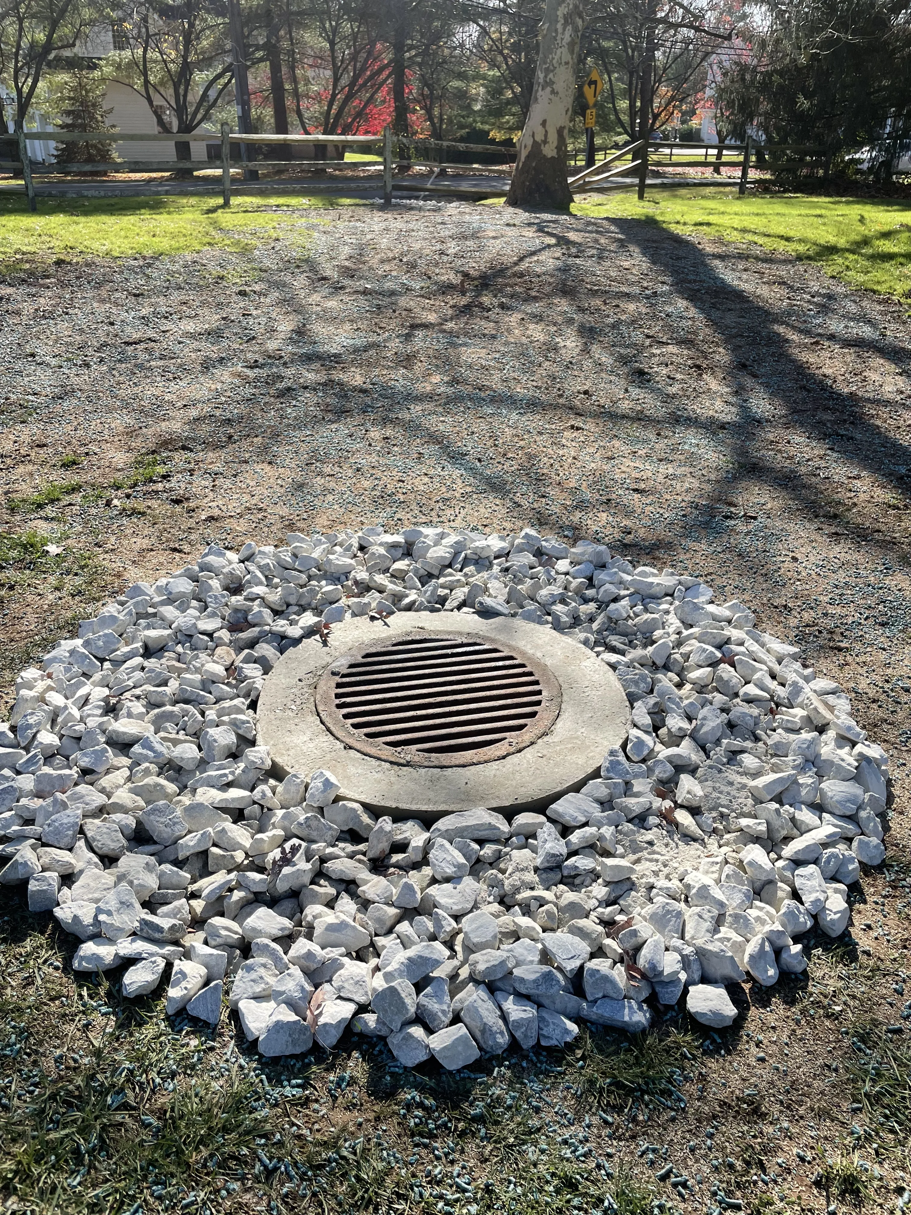 Shrub trimming and mulching