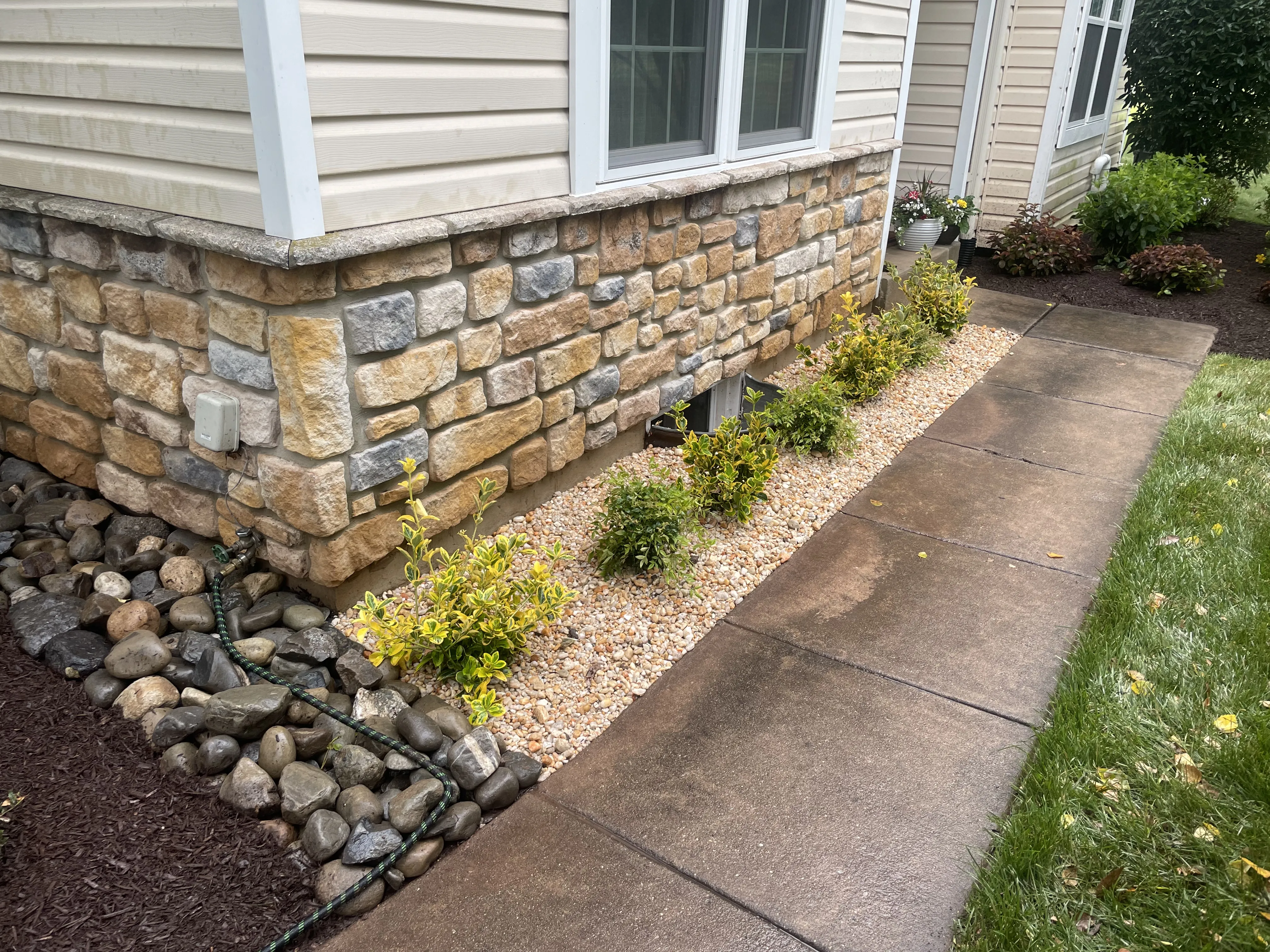 Leaf Removal Results