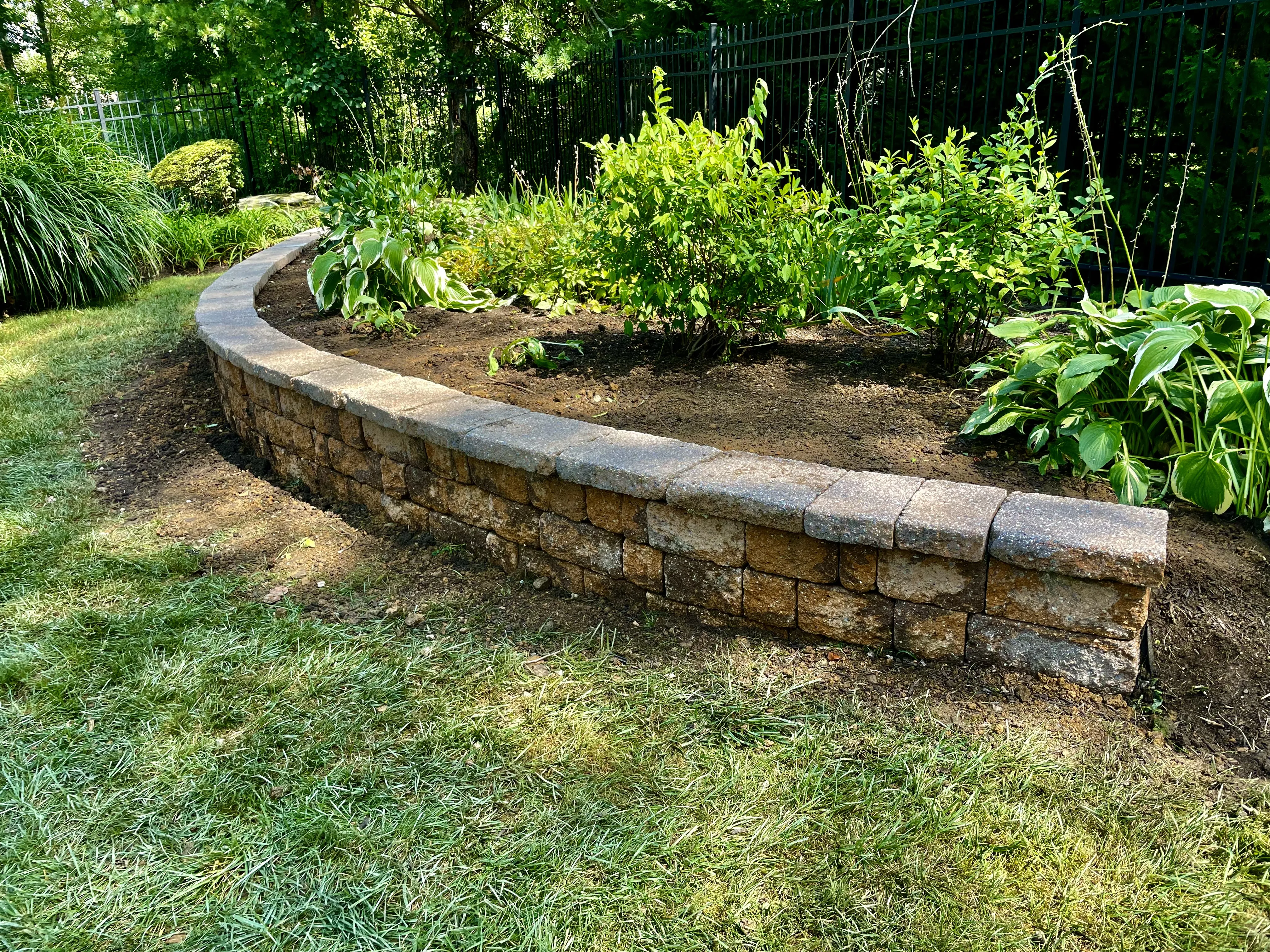 Healthy Lawn Maintenance