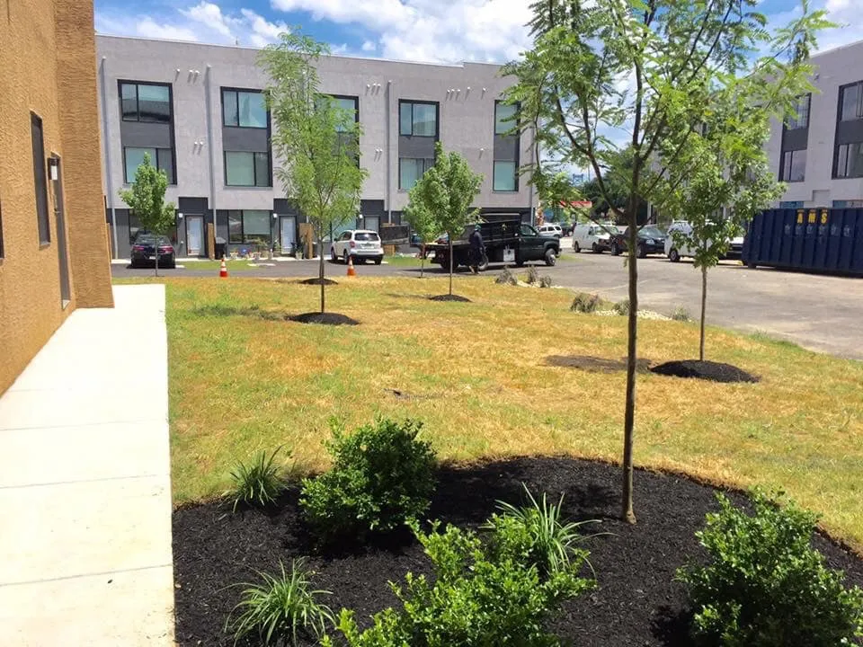 Planting, Trees & Shrubs services in King of Prussia and Norristown PA
